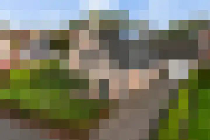 Fiifhoeke 5 Nijega foto 2
