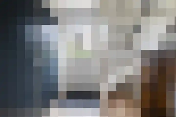 Fiifhoeke 5 Nijega thumbnail 22