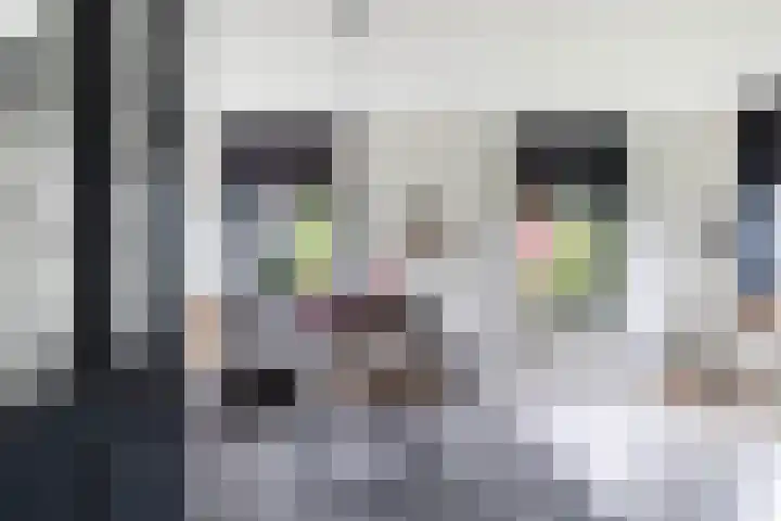 Fiifhoeke 5 Nijega thumbnail 23