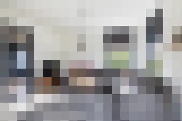 Fiifhoeke 5 Nijega thumbnail 24
