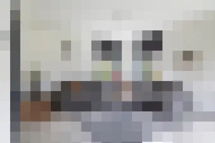 Fiifhoeke 5 Nijega thumbnail 25
