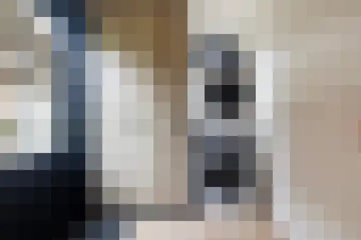 Fiifhoeke 5 Nijega thumbnail 32