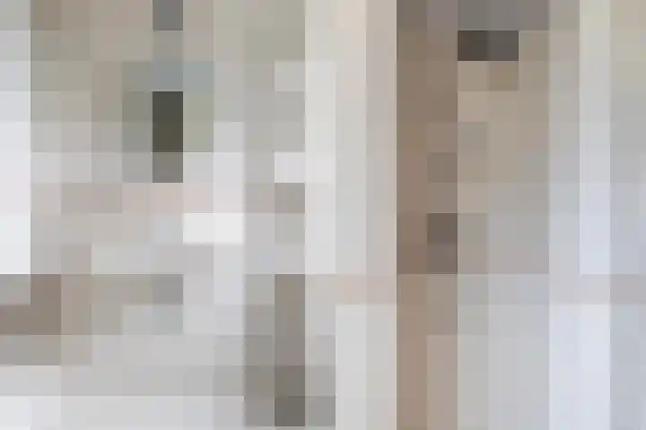 Fiifhoeke 5 Nijega thumbnail 35