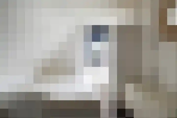 Fiifhoeke 5 Nijega thumbnail 36