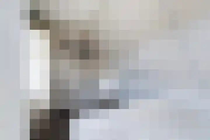 Fiifhoeke 5 Nijega thumbnail 37