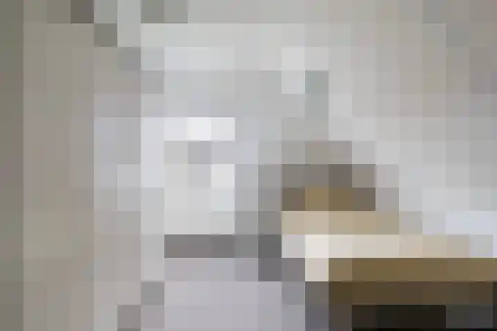 Fiifhoeke 5 Nijega thumbnail 38