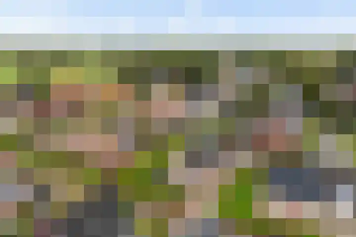 Fiifhoeke 5 Nijega thumbnail 4