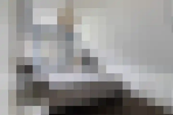 Fiifhoeke 5 Nijega thumbnail 40
