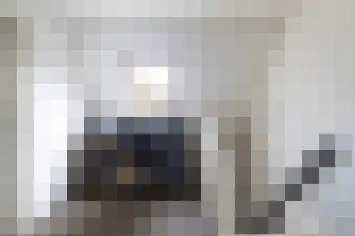 Fiifhoeke 5 Nijega thumbnail 46