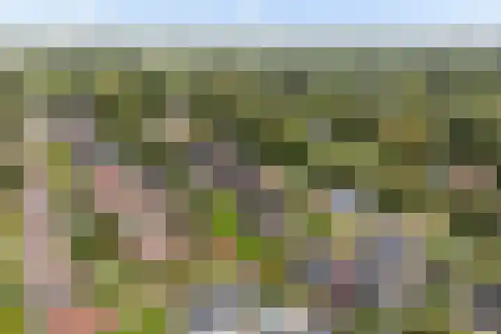 Fiifhoeke 5 Nijega thumbnail 5