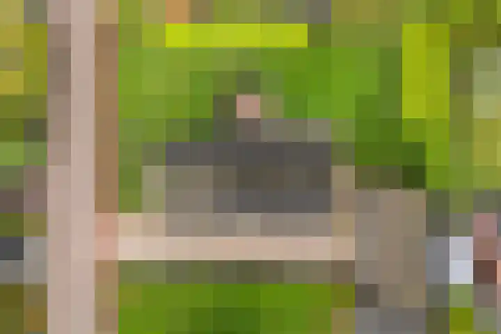 Fiifhoeke 5 Nijega thumbnail 6