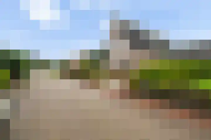 Fiifhoeke 5 Nijega thumbnail 9