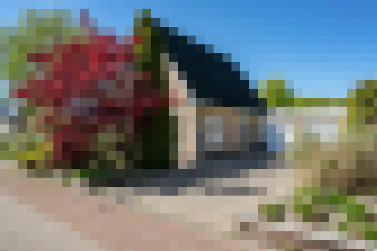 Fiifhoeke 9 Nijega thumbnail 10