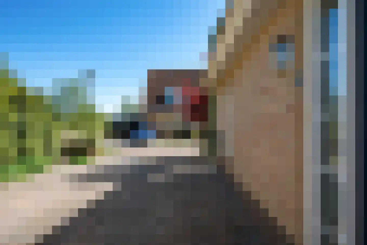 Fiifhoeke 9 Nijega thumbnail 13