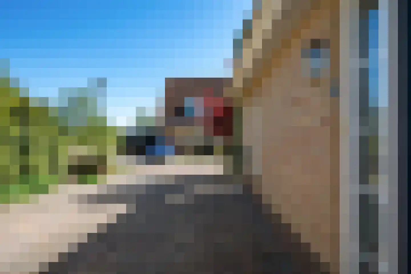 Fiifhoeke 9 Nijega thumbnail 13