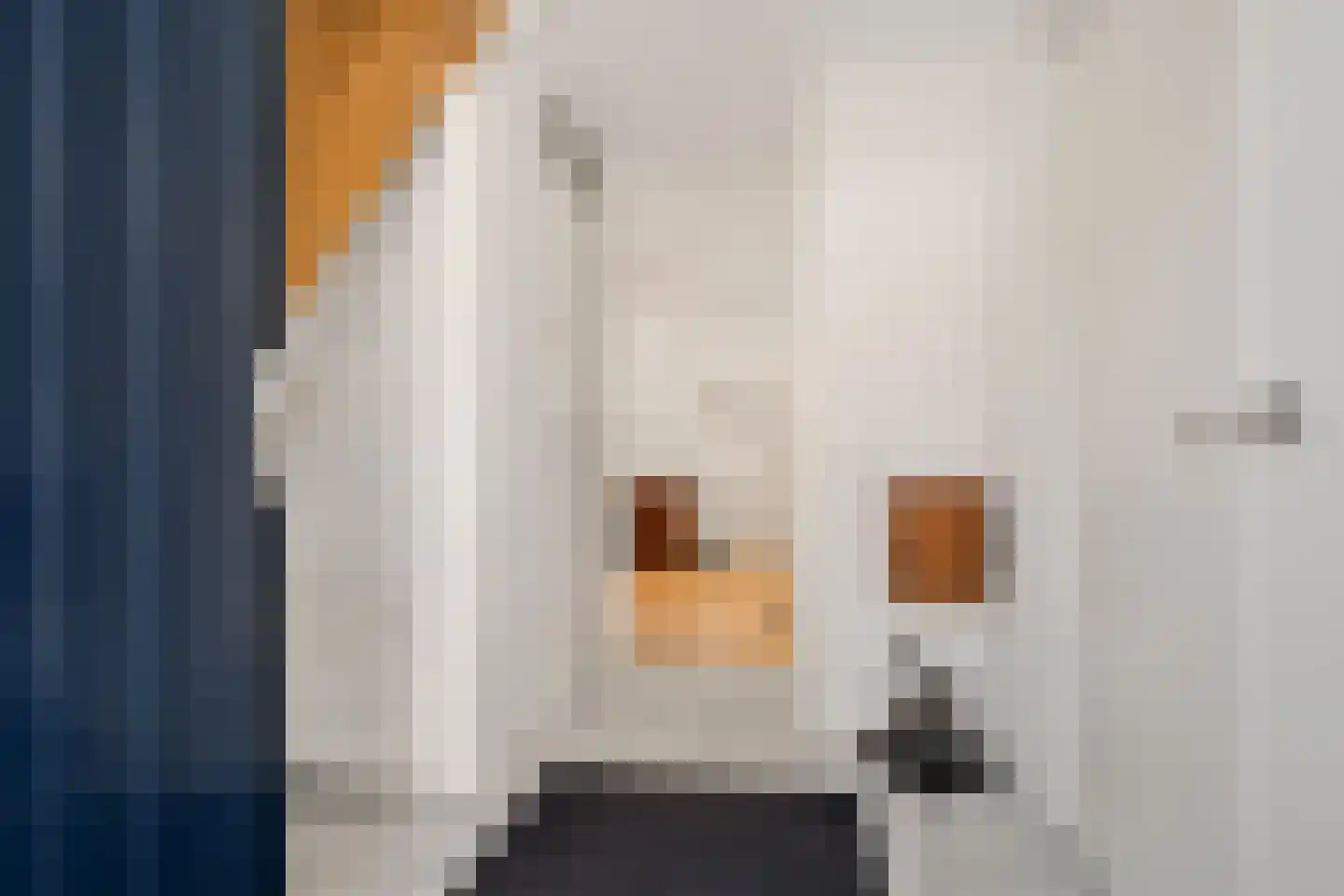 Fiifhoeke 9 Nijega thumbnail 14