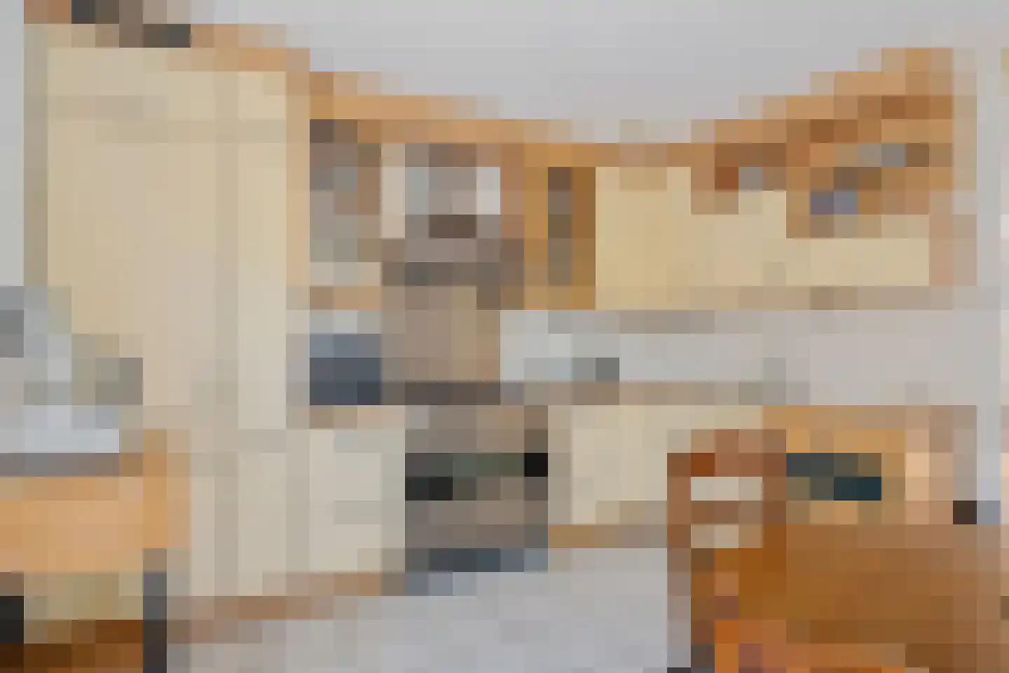 Fiifhoeke 9 Nijega thumbnail 23