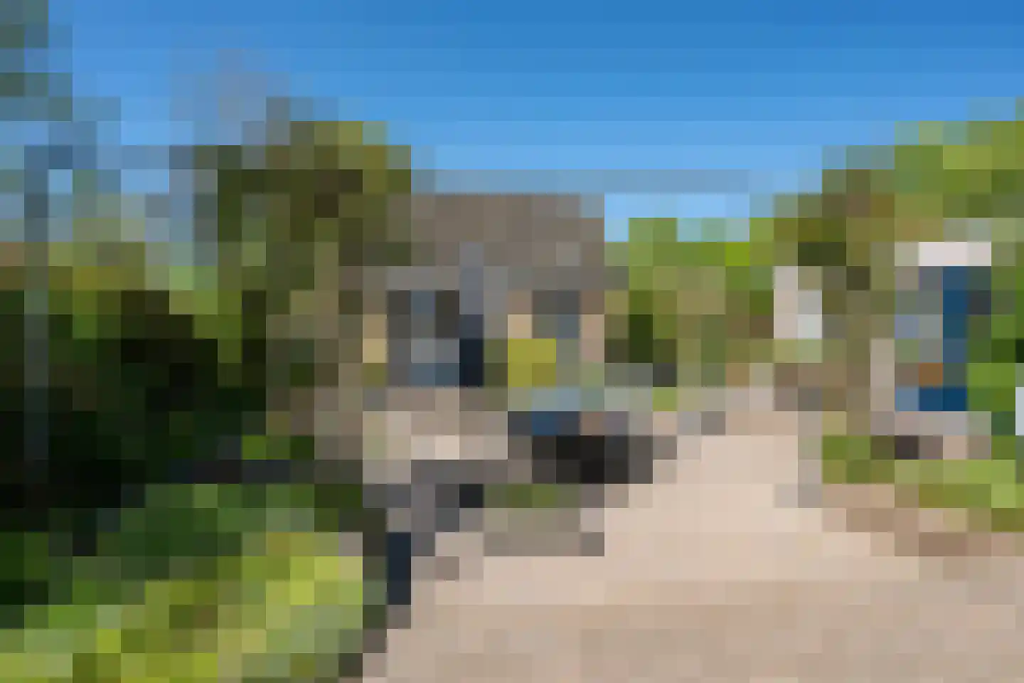 Fiifhoeke 9 Nijega thumbnail 40