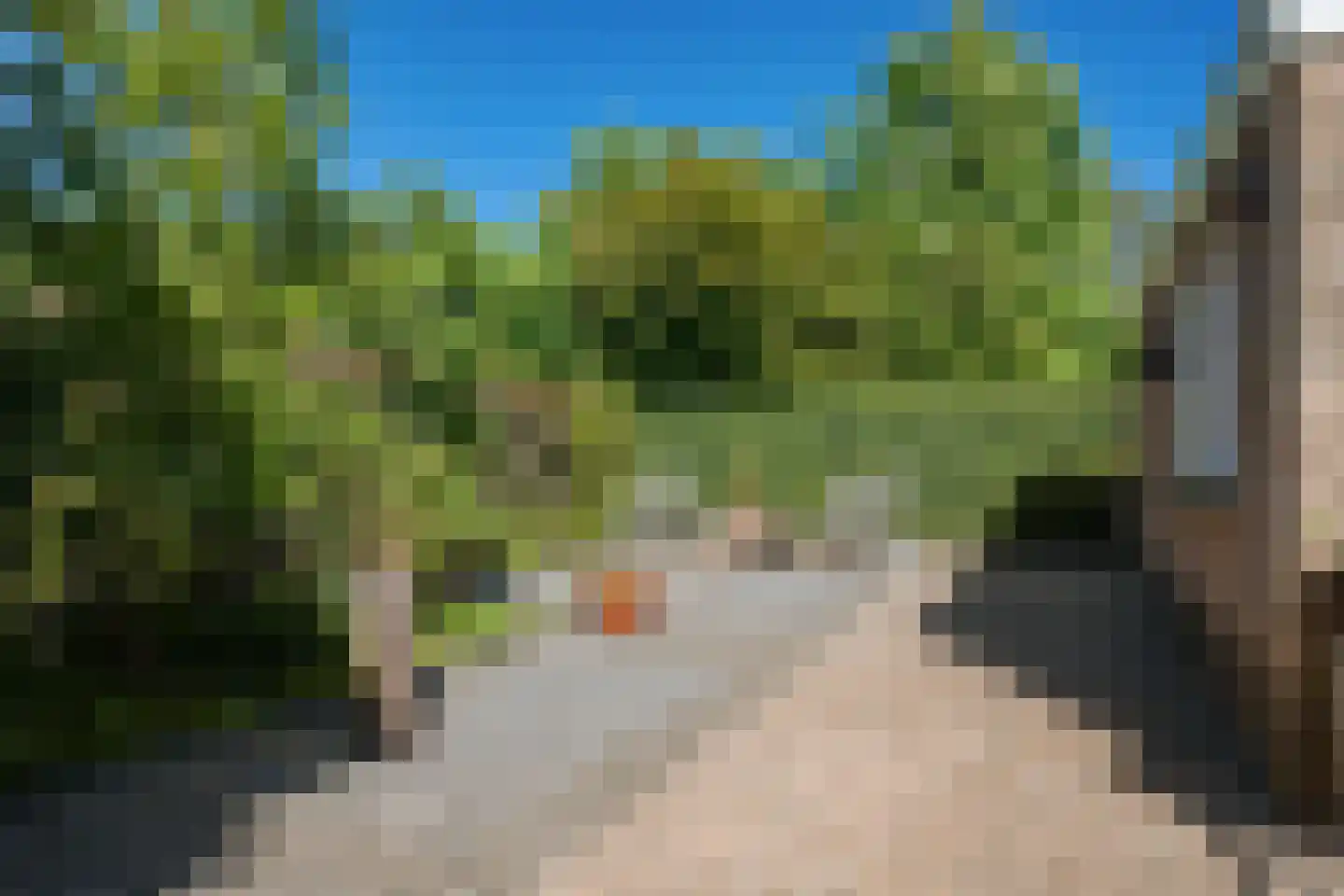 Fiifhoeke 9 Nijega thumbnail 44