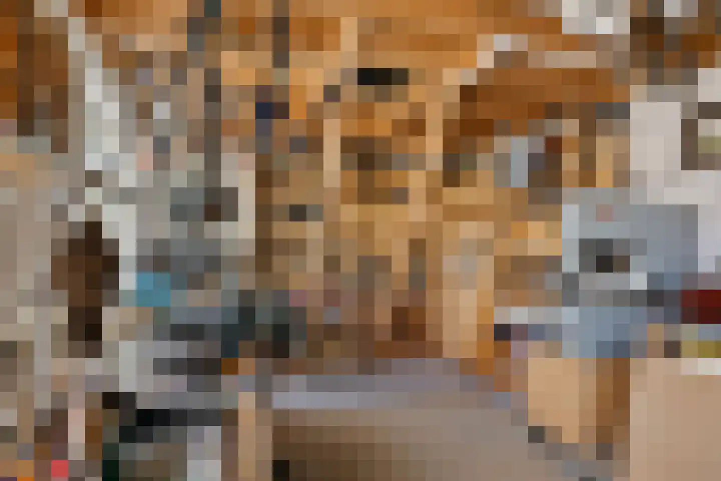 Fiifhoeke 9 Nijega thumbnail 48