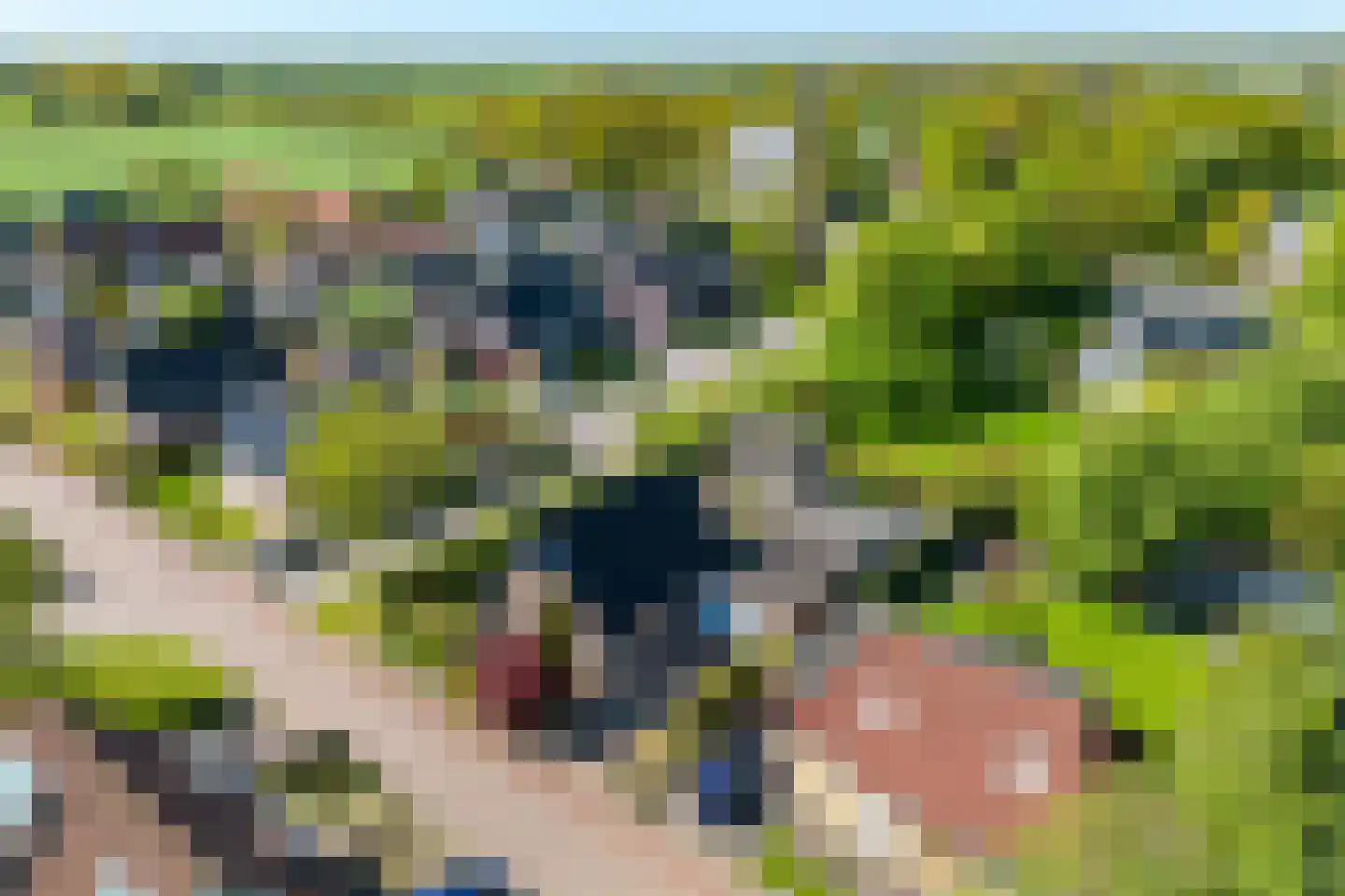 Fiifhoeke 9 Nijega thumbnail 5