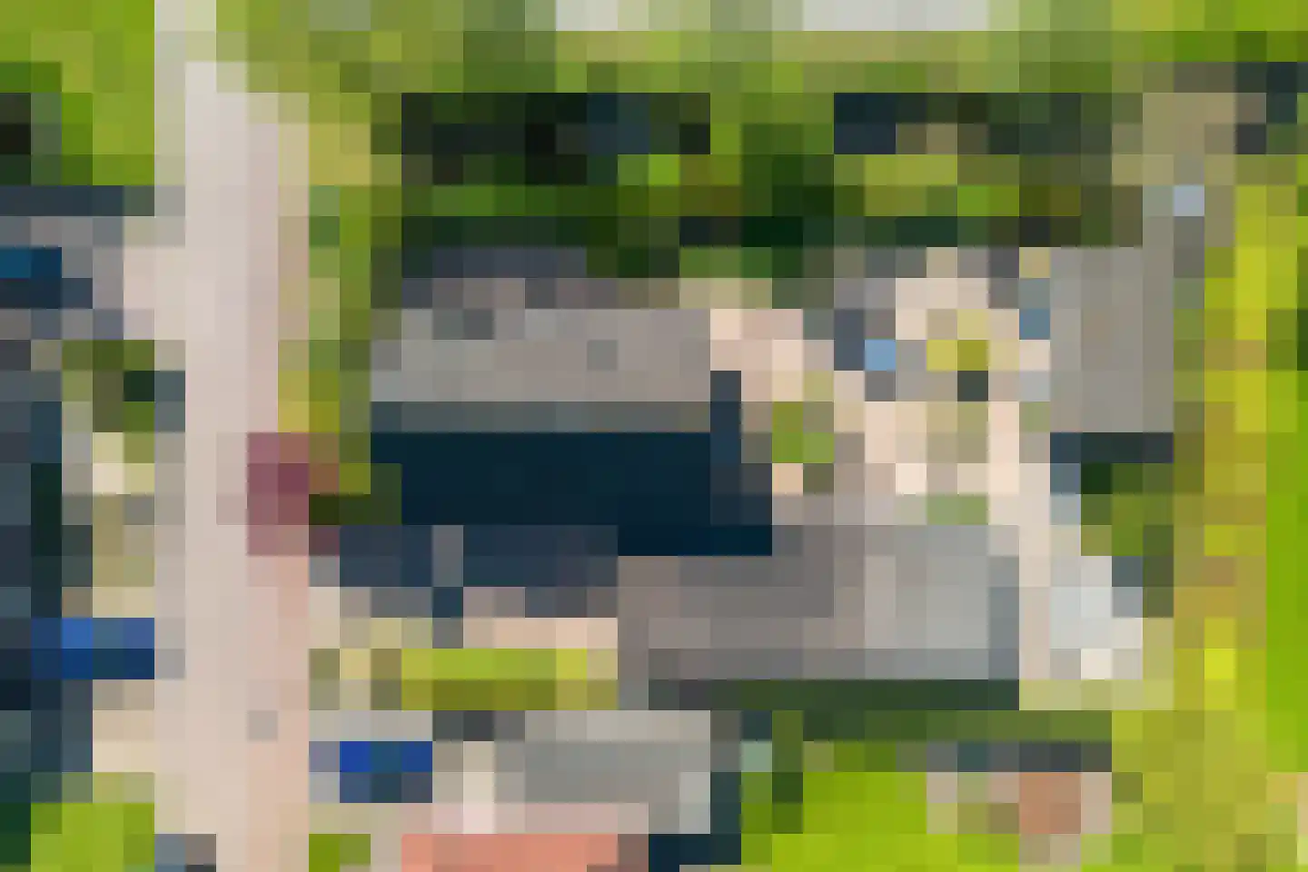Fiifhoeke 9 Nijega thumbnail 6