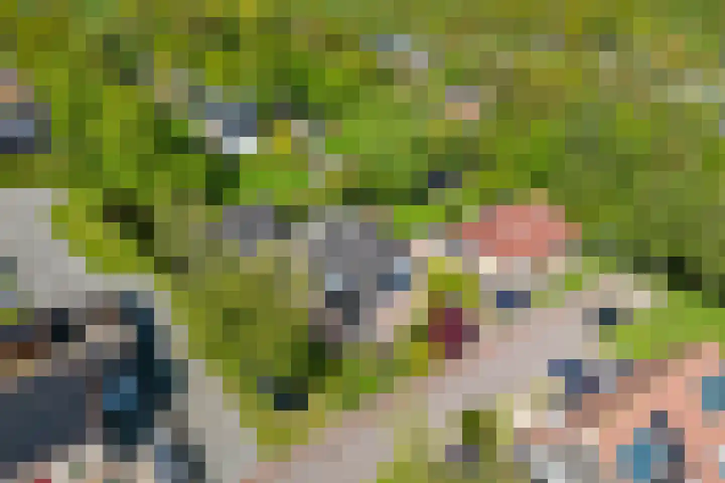 Fiifhoeke 9 Nijega thumbnail 8