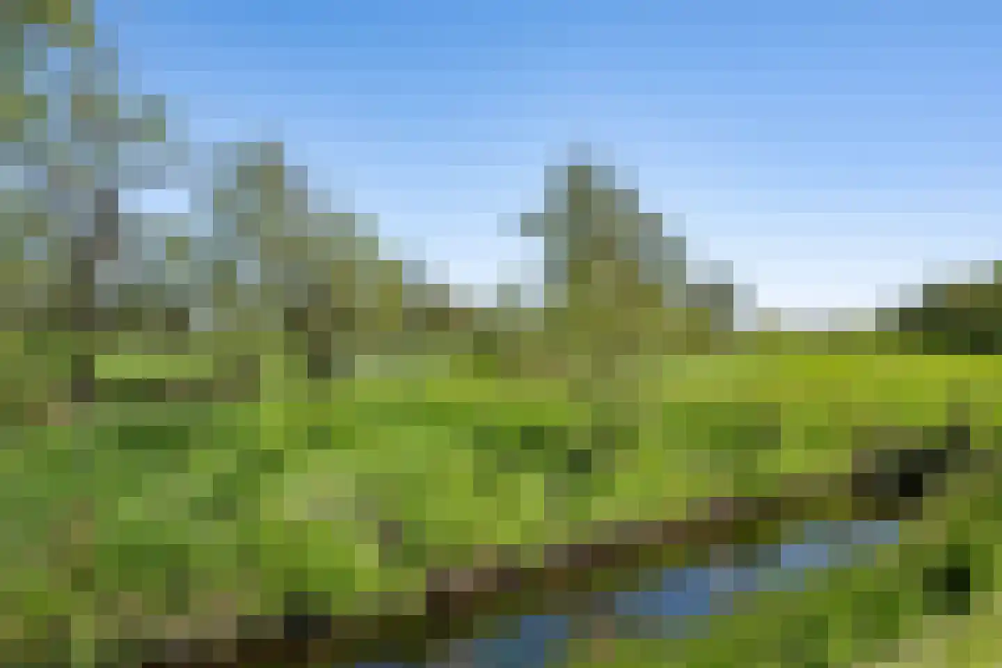 Fiifhoeke 9 Nijega thumbnail 9