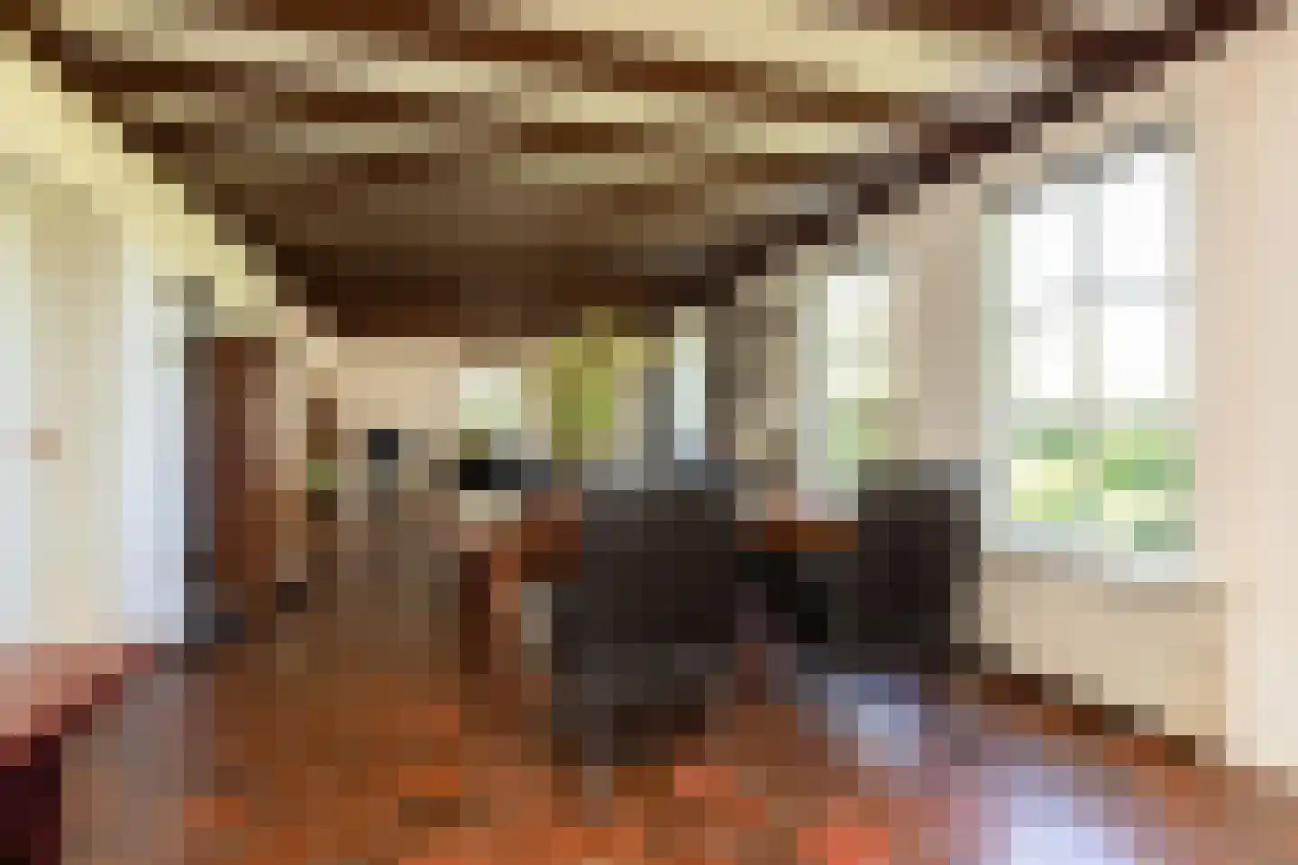 Fiifhús 8 Wolsum thumbnail 14