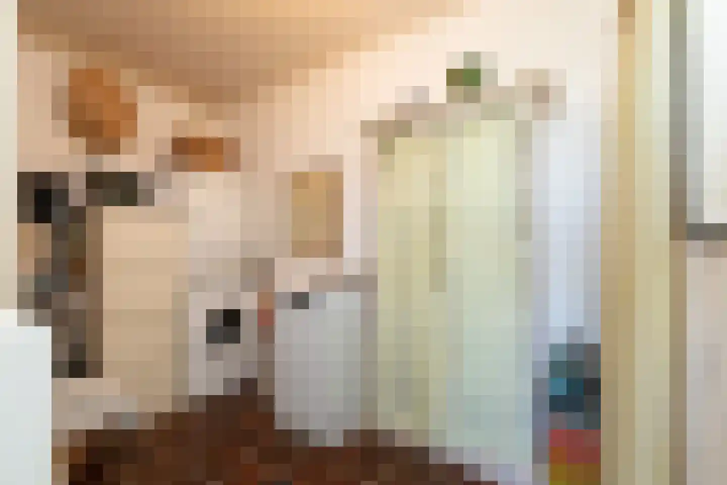 Fiifhús 8 Wolsum thumbnail 15