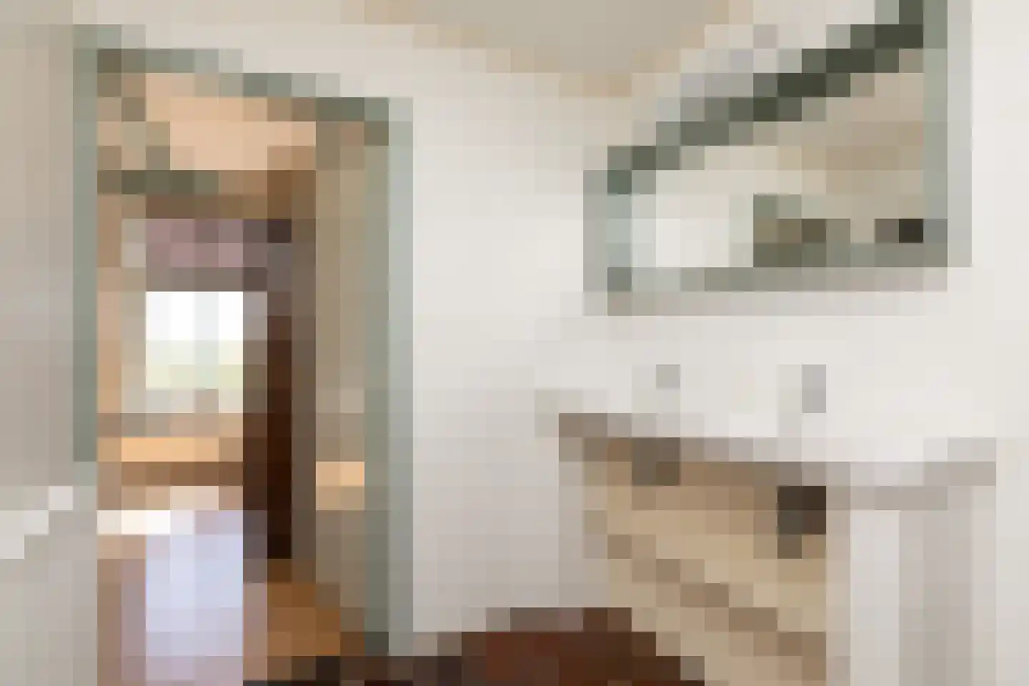 Fiifhús 8 Wolsum thumbnail 19