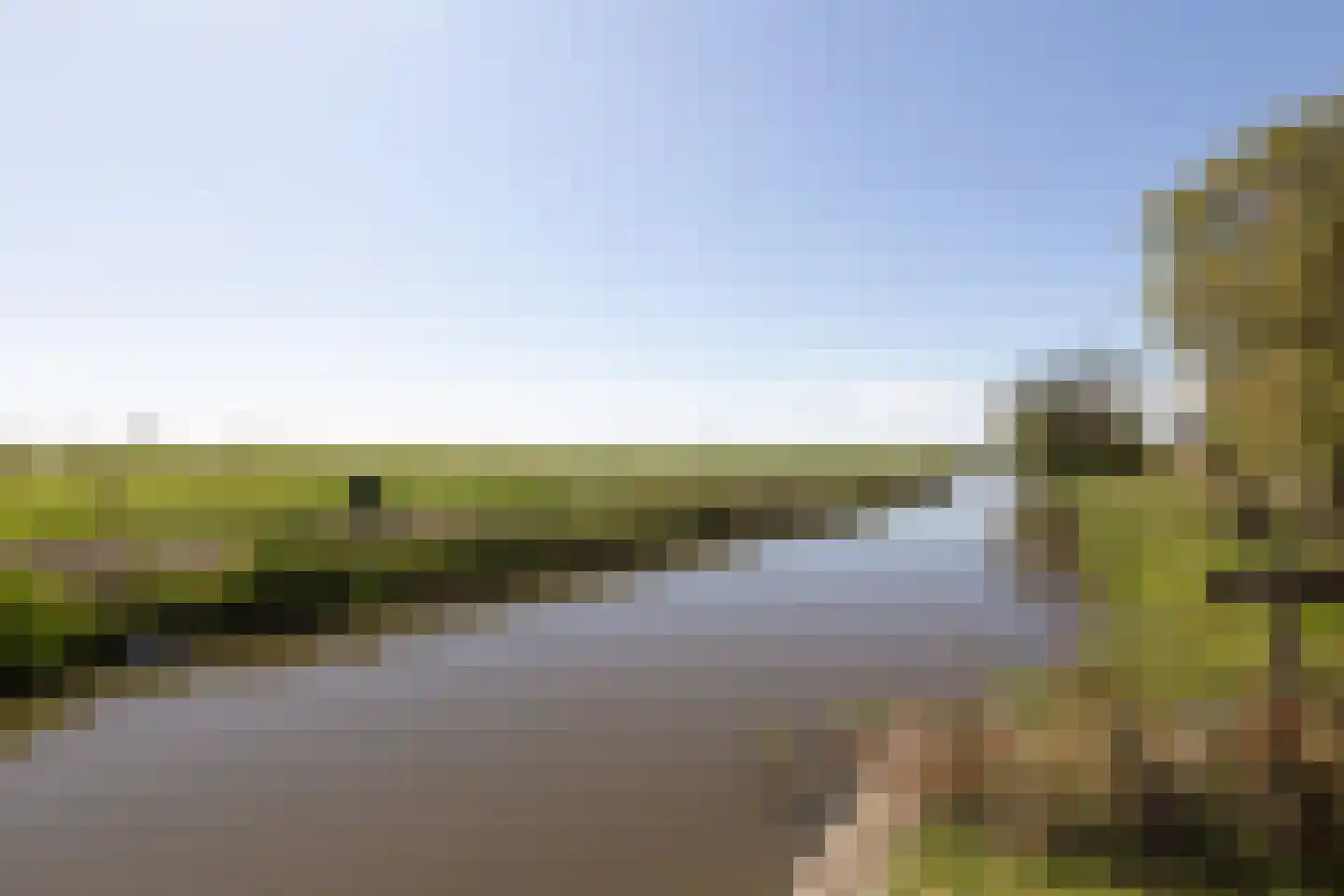 Fiifhús 8 Wolsum foto 2