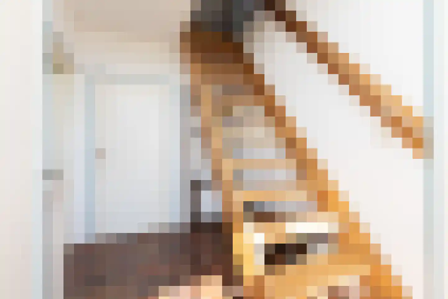 Fiifhús 8 Wolsum thumbnail 24