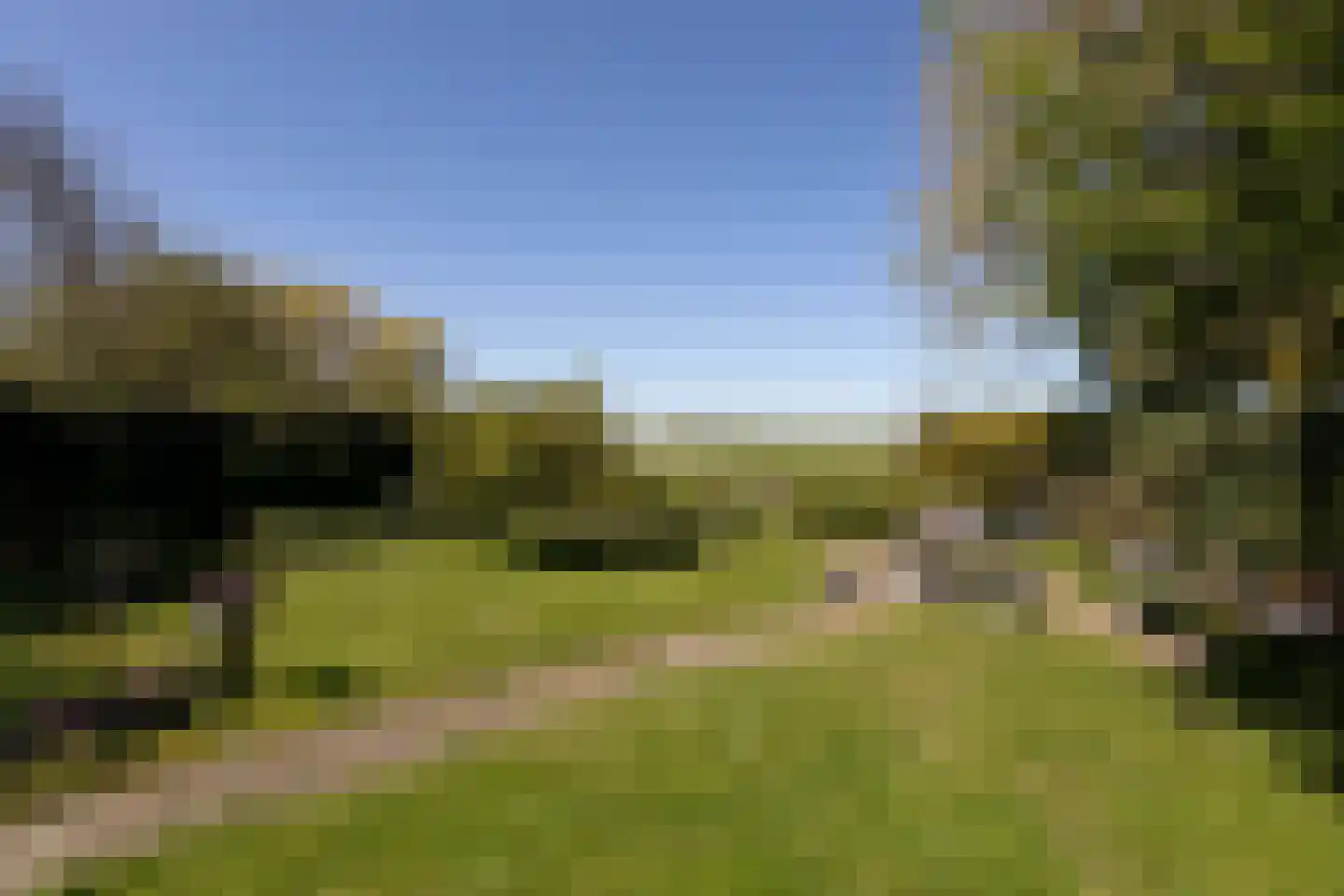 Fiifhús 8 Wolsum foto 3