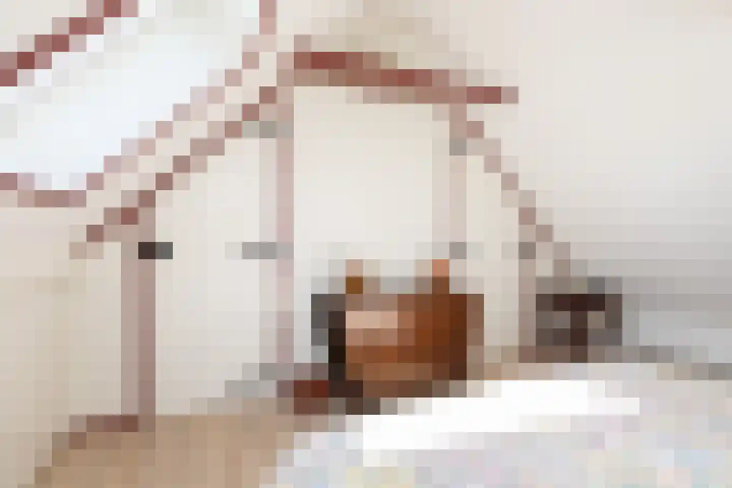 Fiifhús 8 Wolsum thumbnail 30