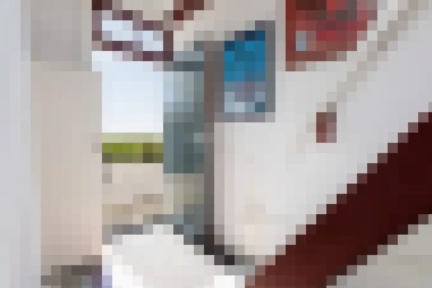 Fiifhús 8 Wolsum thumbnail 33