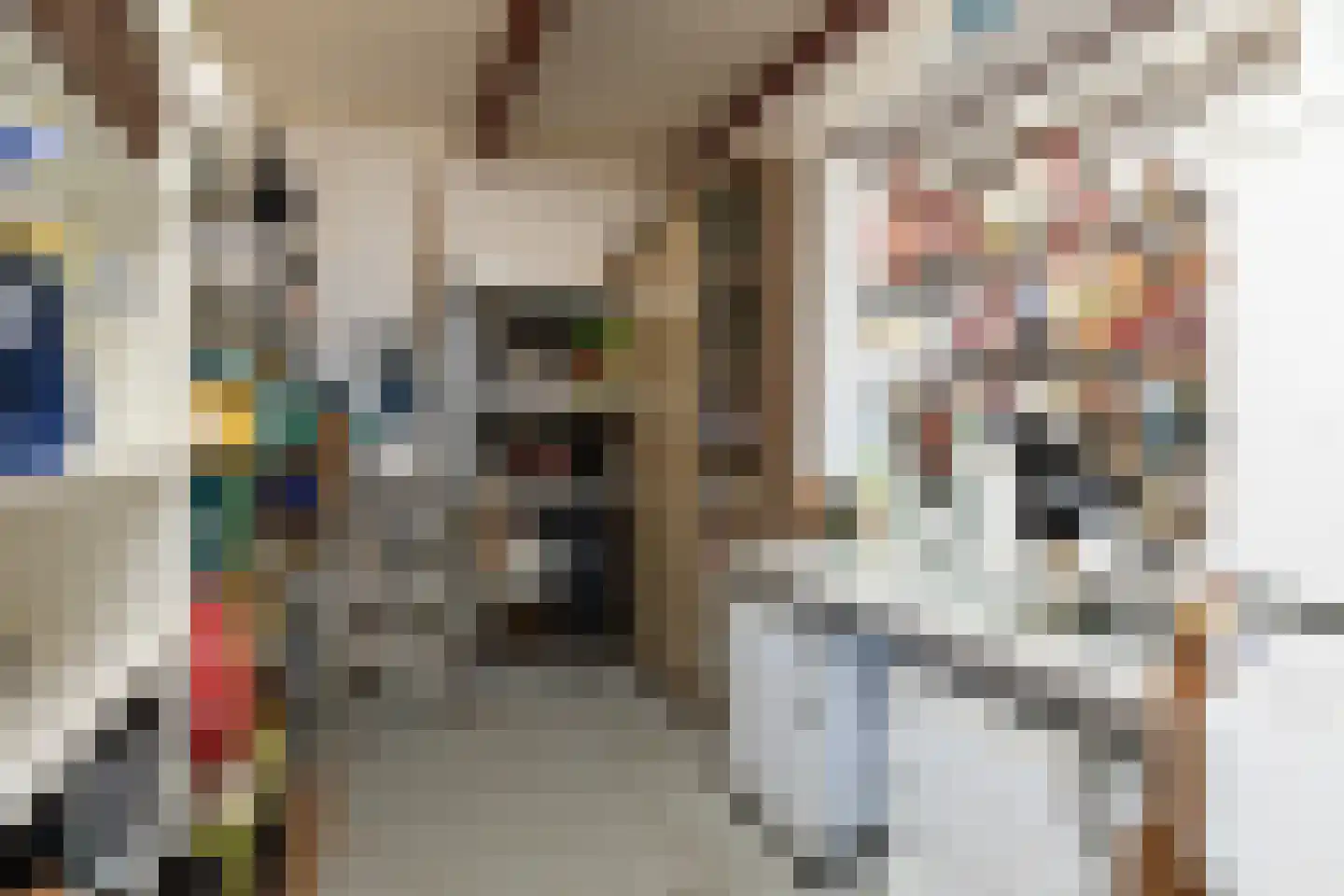 Fiifhús 8 Wolsum thumbnail 34