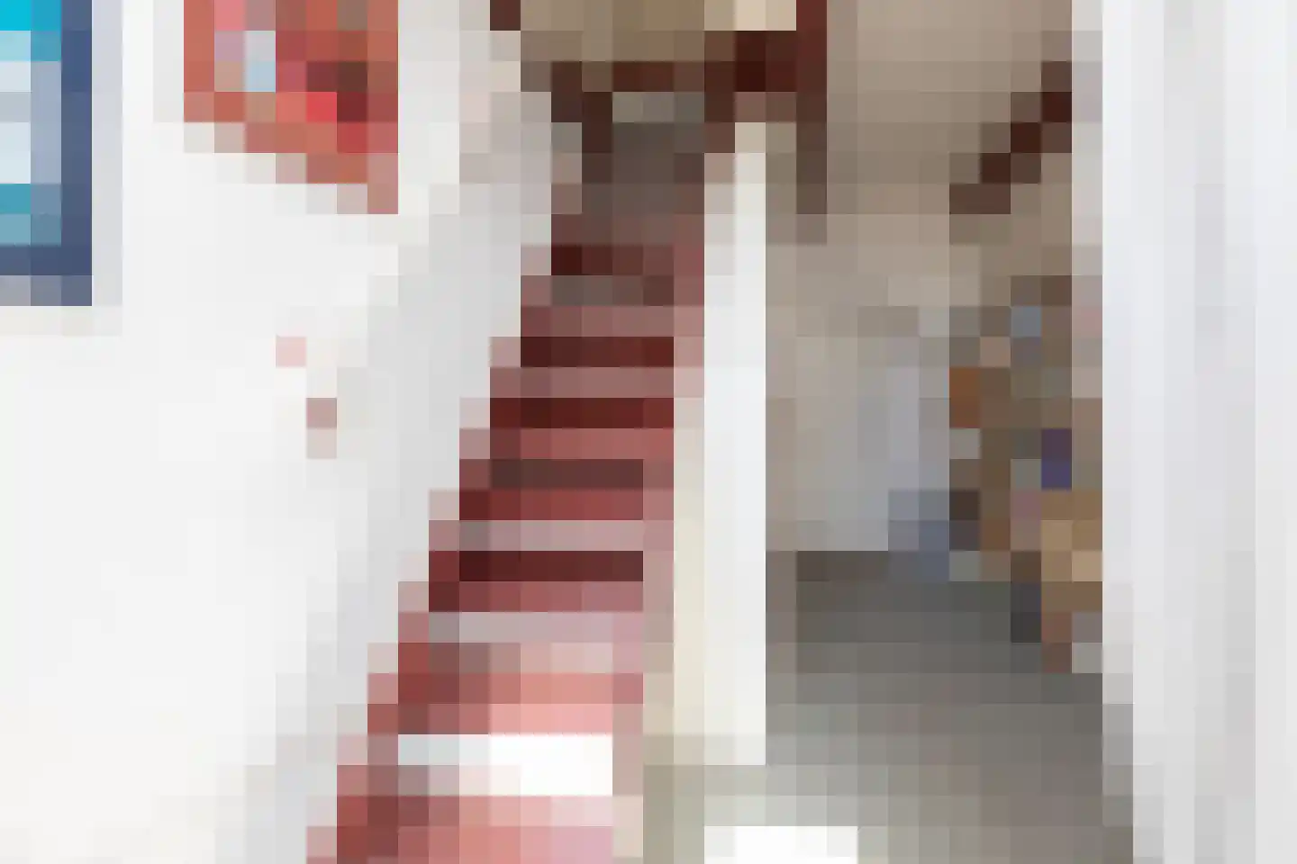 Fiifhús 8 Wolsum thumbnail 38