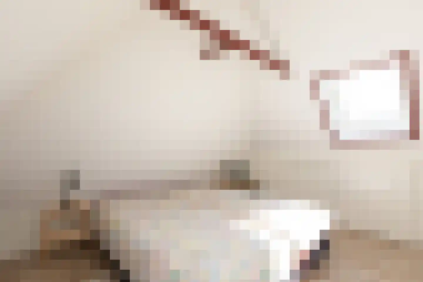 Fiifhús 8 Wolsum thumbnail 39