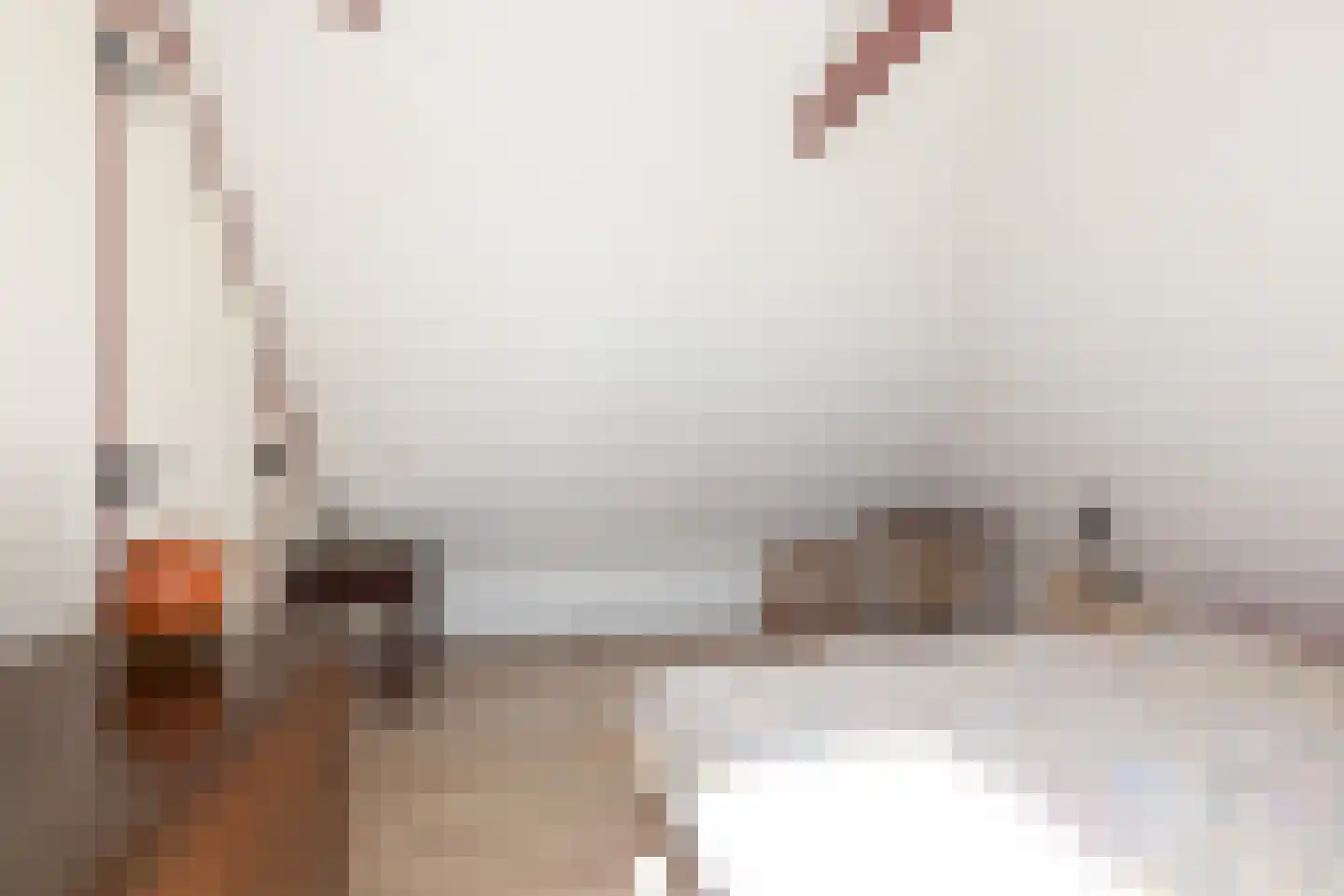 Fiifhús 8 Wolsum thumbnail 40
