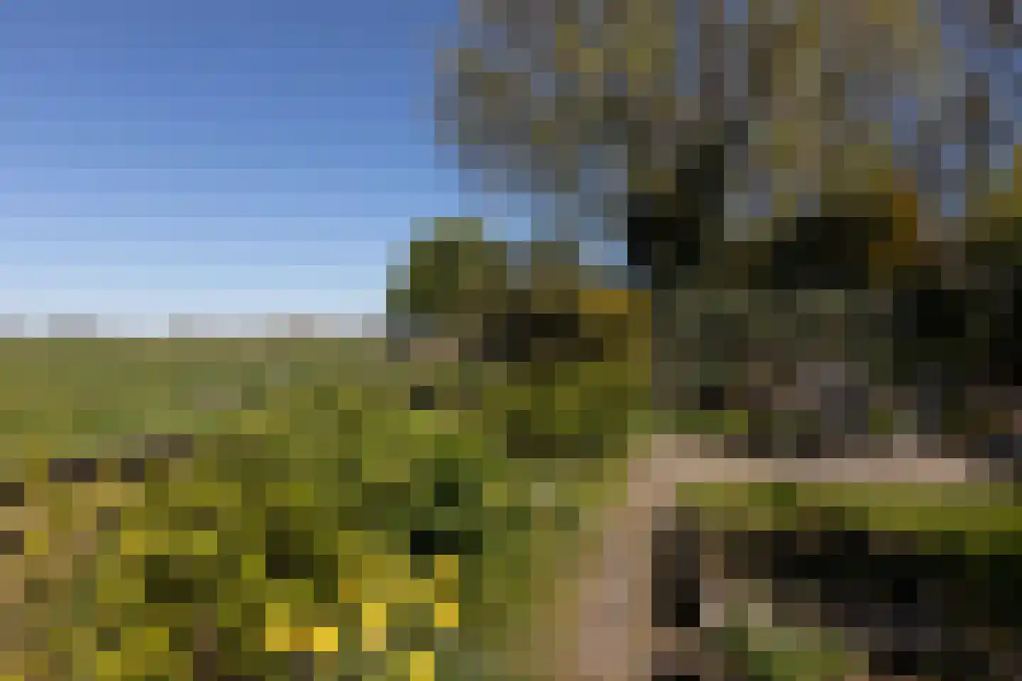 Fiifhús 8 Wolsum thumbnail 5