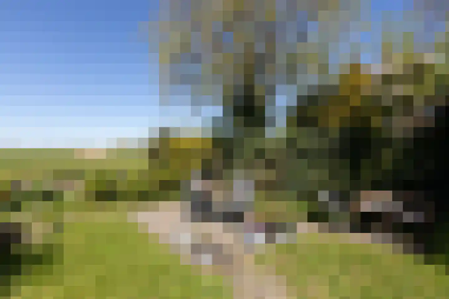 Fiifhús 8 Wolsum thumbnail 53