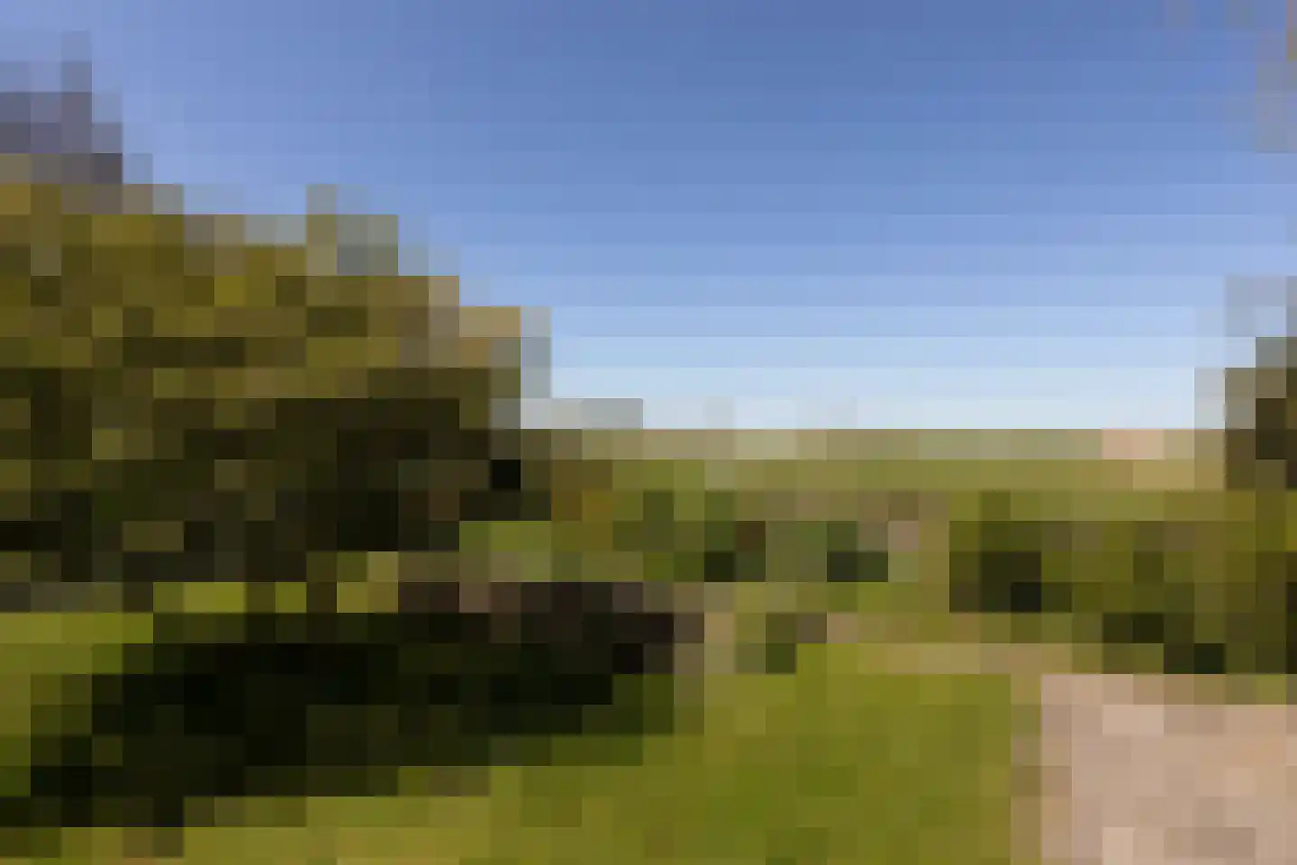 Fiifhús 8 Wolsum thumbnail 54