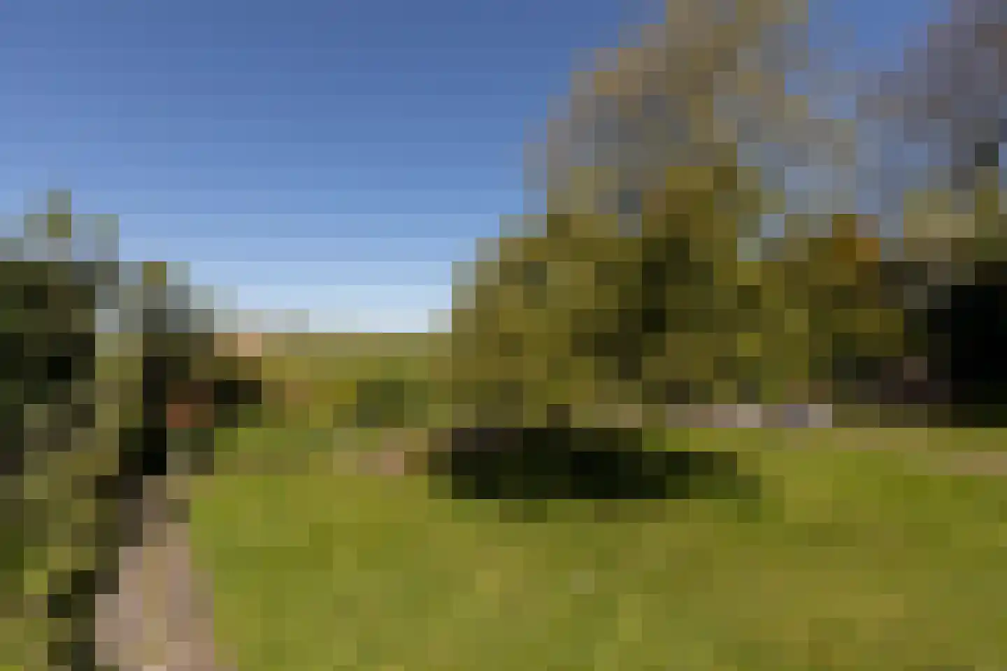 Fiifhús 8 Wolsum thumbnail 55