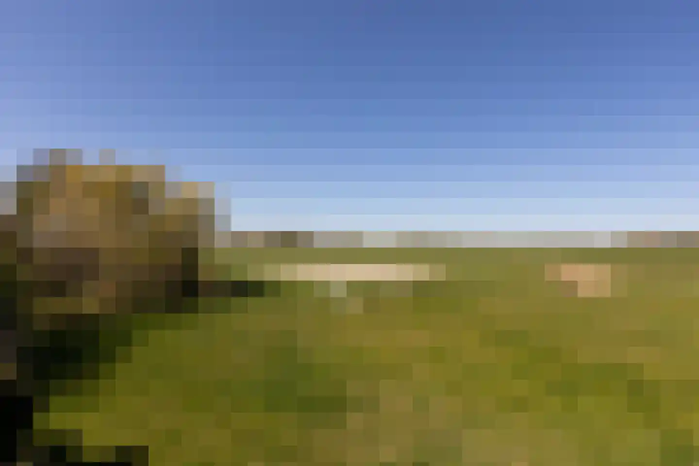 Fiifhús 8 Wolsum thumbnail 56
