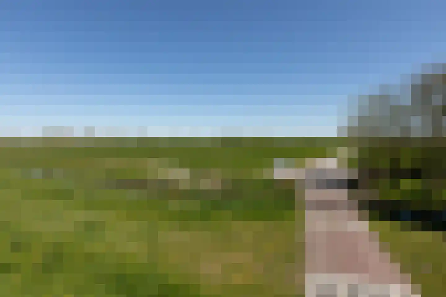 Fiifhús 8 Wolsum thumbnail 59