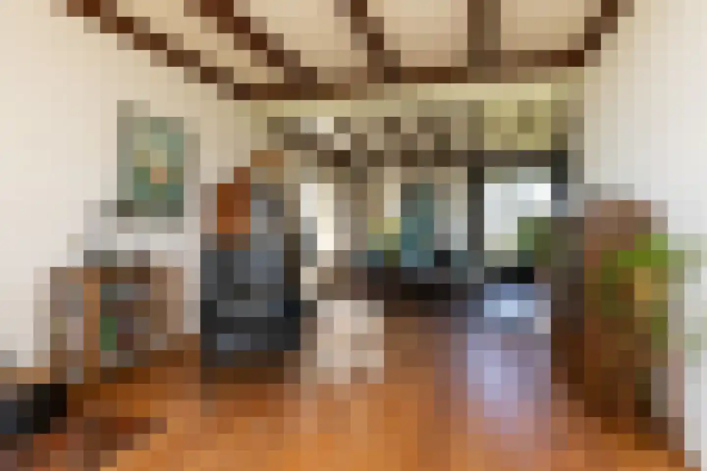 Fiifhús 8 Wolsum thumbnail 8