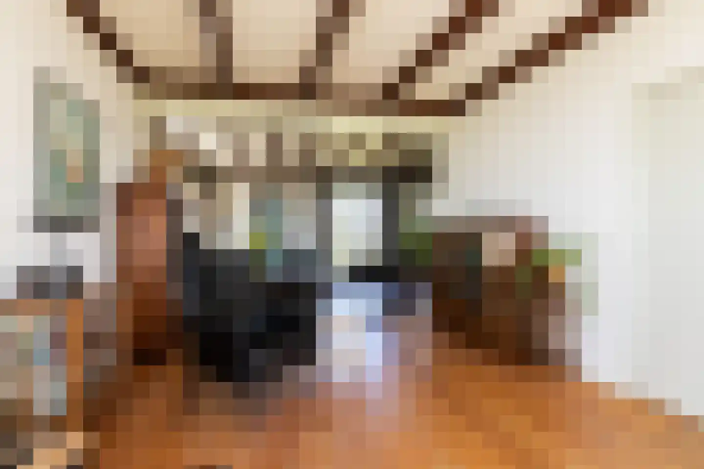 Fiifhús 8 Wolsum thumbnail 9