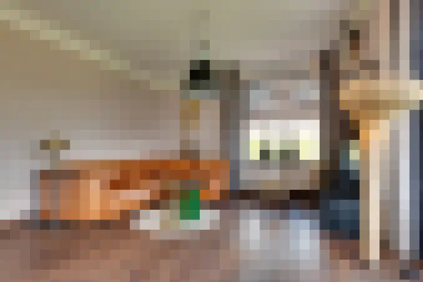Fiifhuzen 17 Harkema thumbnail 10