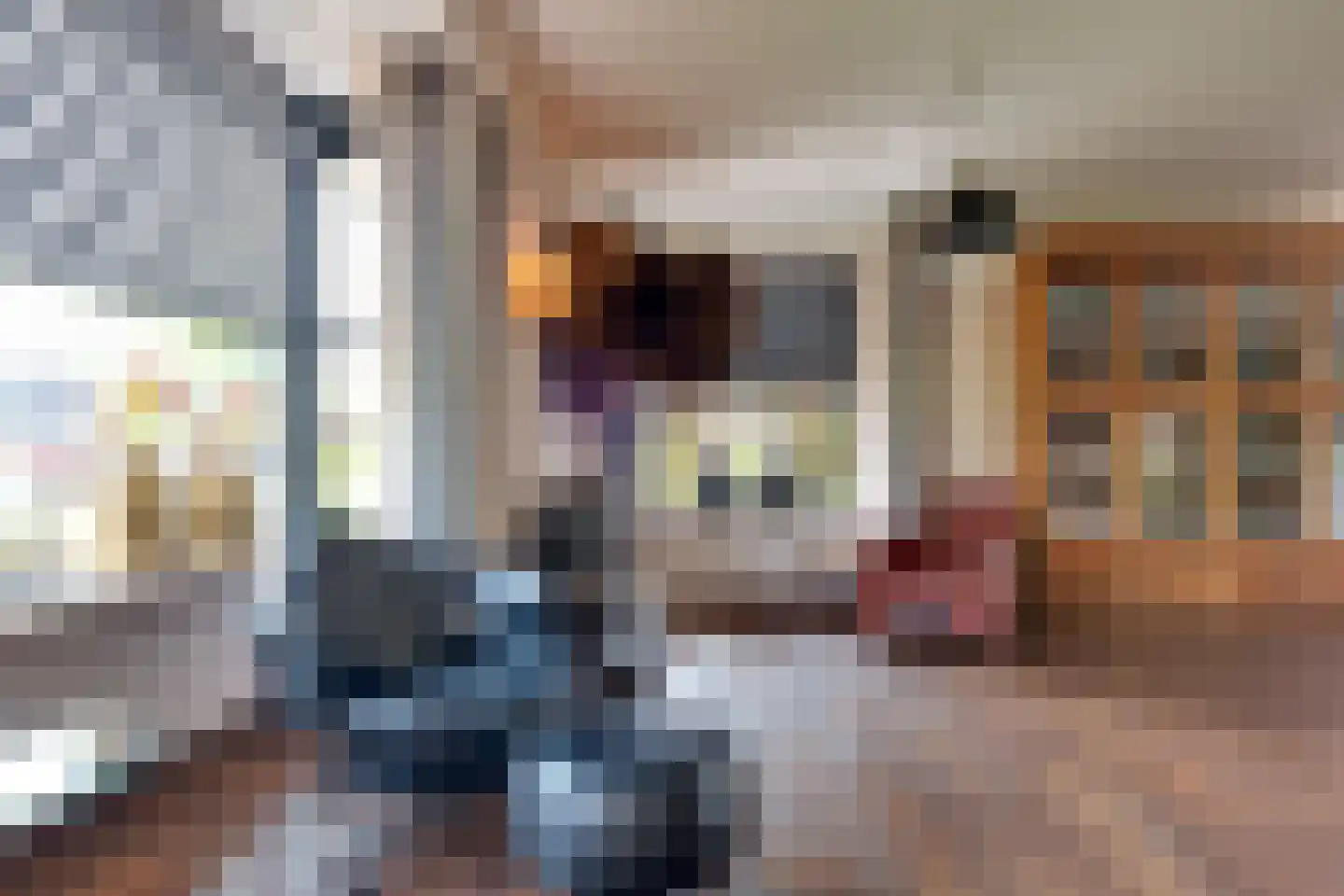Fiifhuzen 17 Harkema thumbnail 11